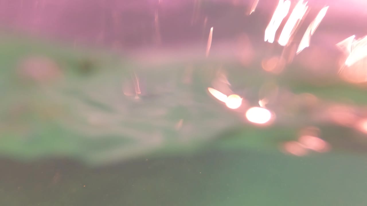 Soft pink surface reflections blur across green underwater visibility in San Jose Del Cabo, Baja California Sur, with no visible people.