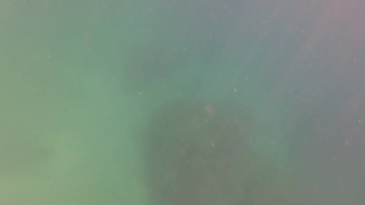 A hazy green underwater frame shows suspended particles and soft depth falloff in San Jose Del Cabo, Baja California Sur, with no visible people.
