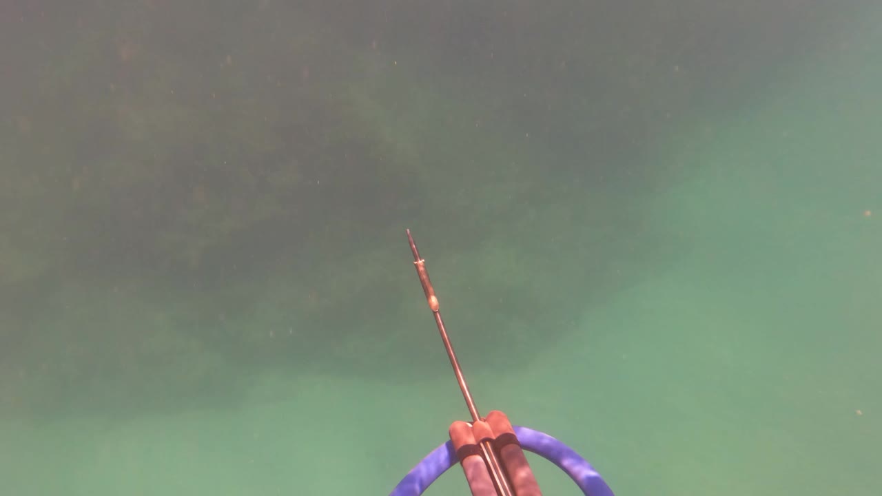 Speargun tip over green water and rocky seabed
