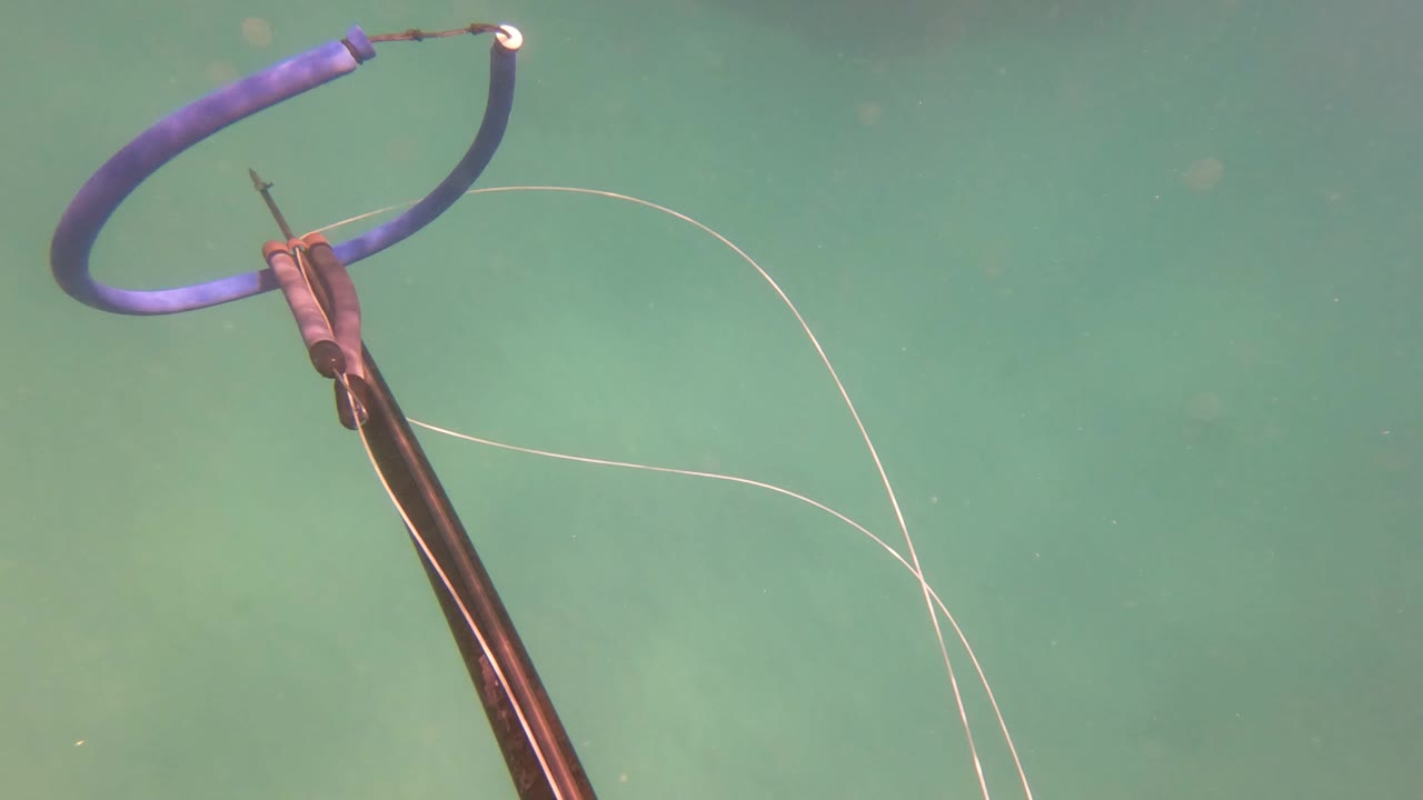 At the start of the San Jose del Cabo clip, the speargun band and fishing line sit near the left edge against clear green water, with no visible people.