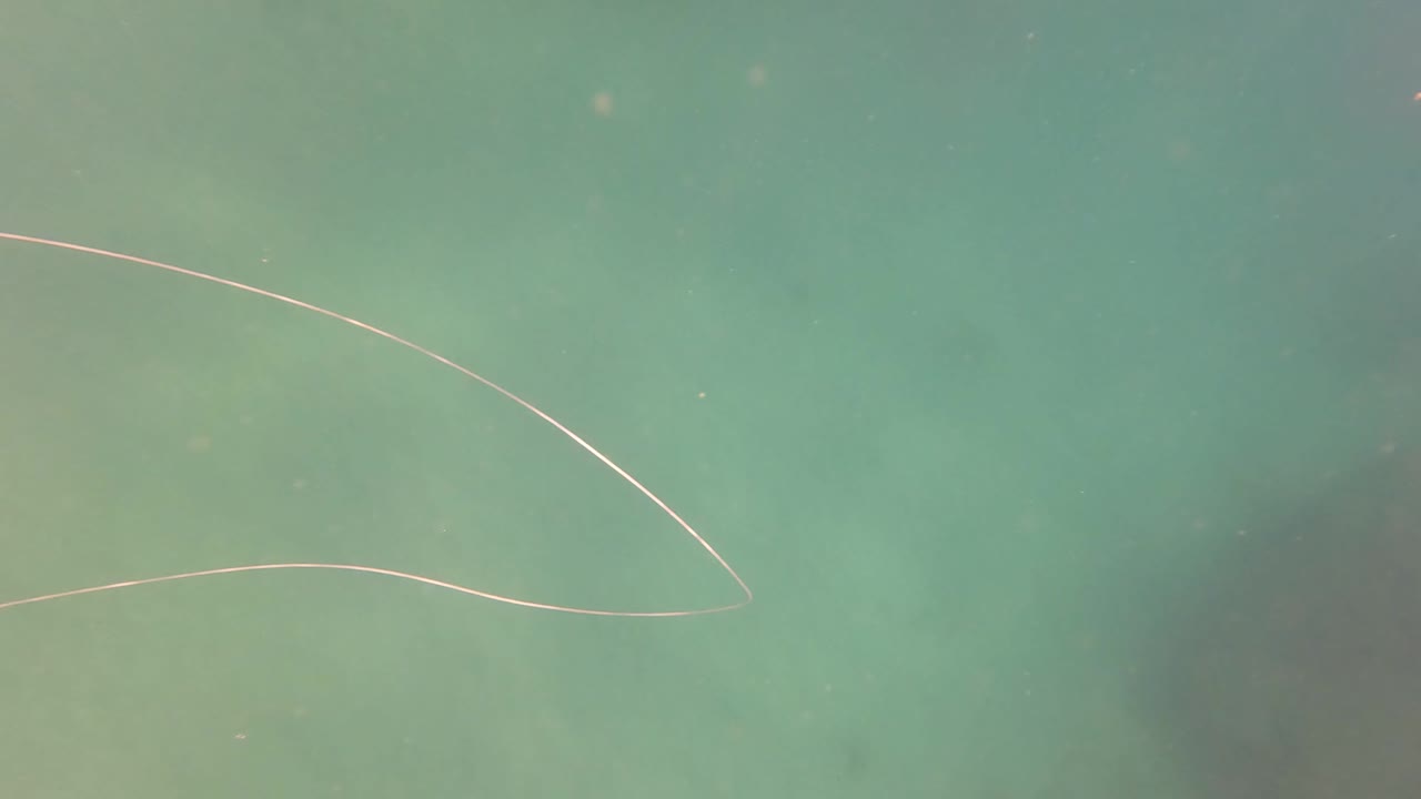 A pale fishing line arcs across open green water in San Jose del Cabo, with the speargun mostly out of frame and no visible people.