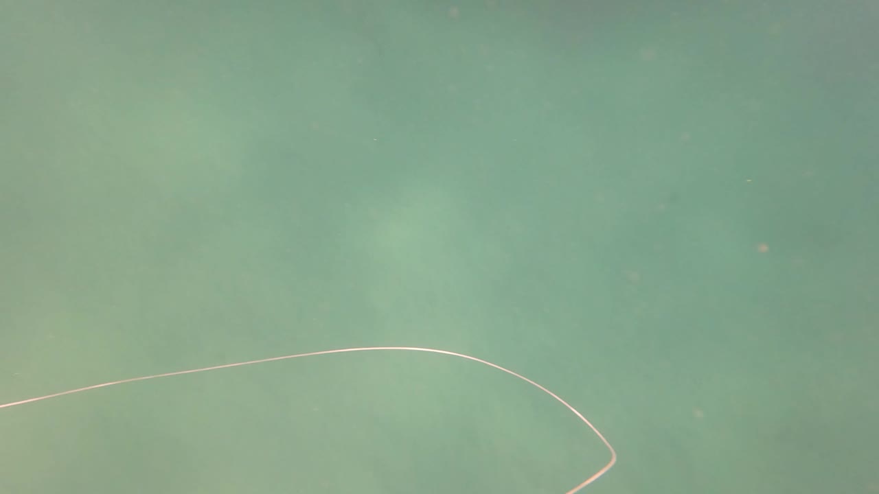 The fishing line forms a broad curve across the right side of the underwater frame, leaving only clear green water behind it and no visible people.