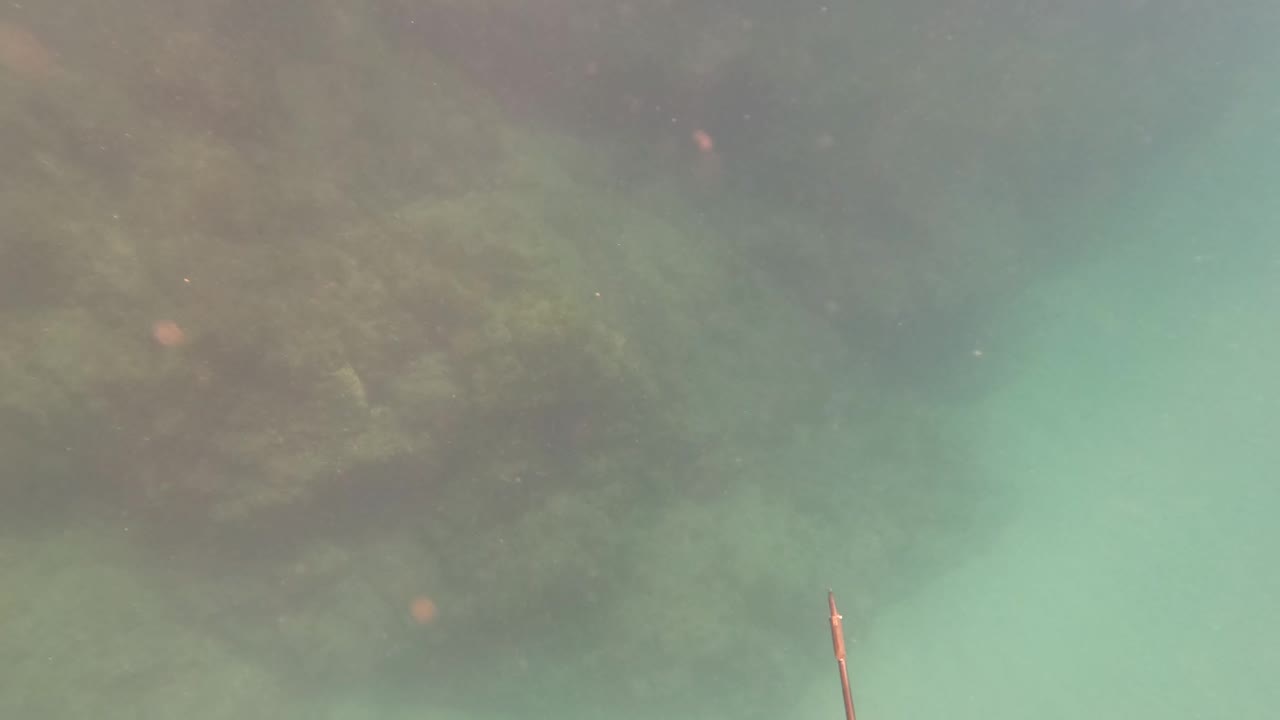 Early underwater frame from San Jose del Cabo showing green water, shadowed rock, and the narrow tip of a speargun entering from the lower edge.