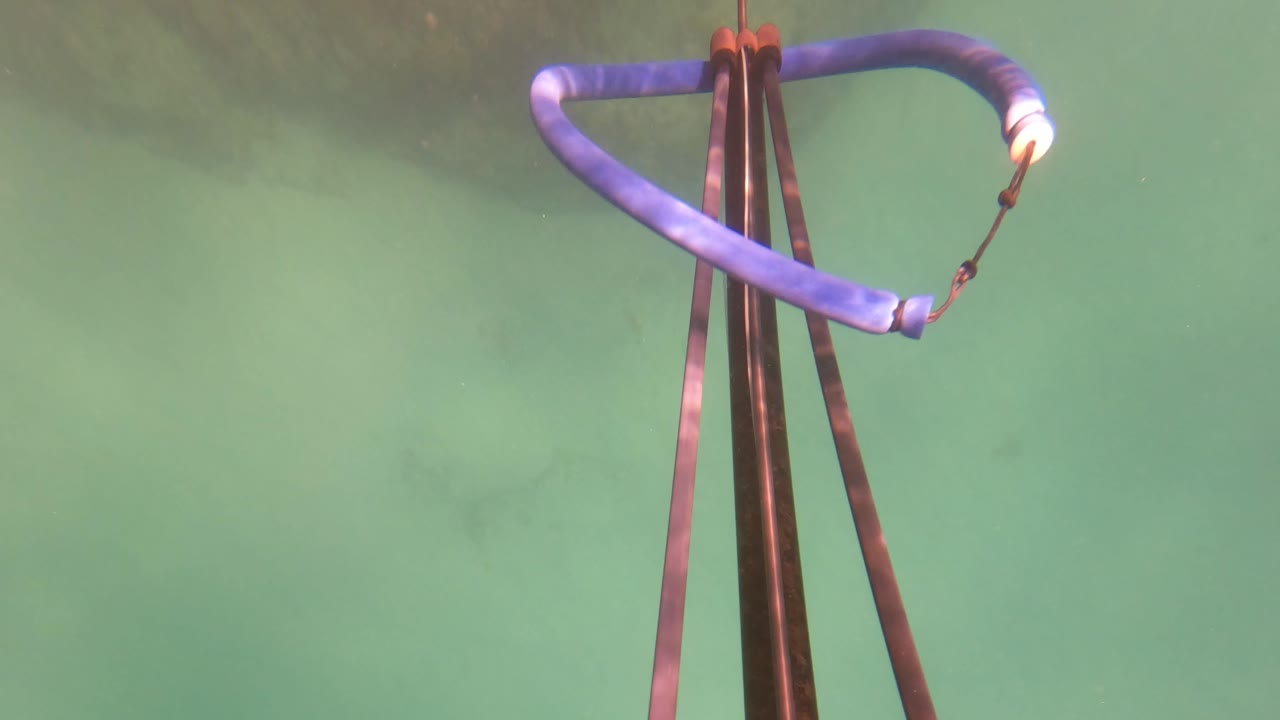 Close frame from San Jose del Cabo showing the upper section of the speargun and blue rope loop against clear green water with faint seabed texture below.