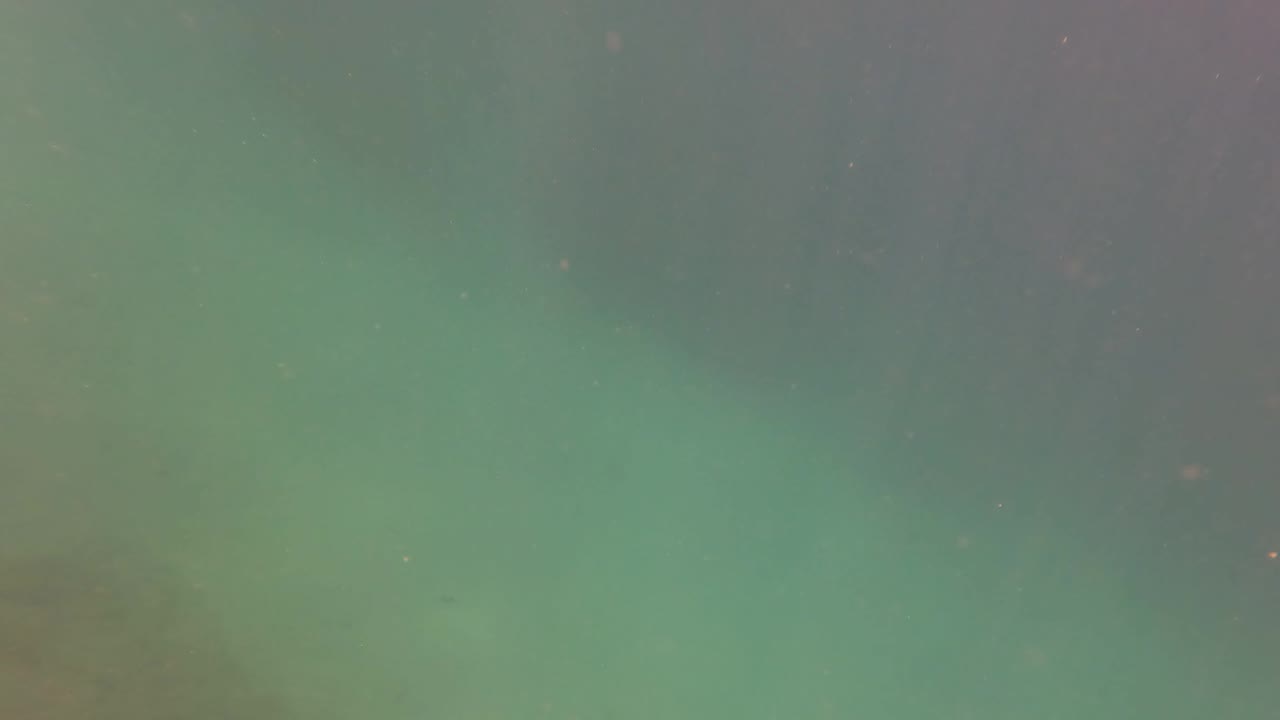 Green underwater view with faint rocky bottom and suspended particles