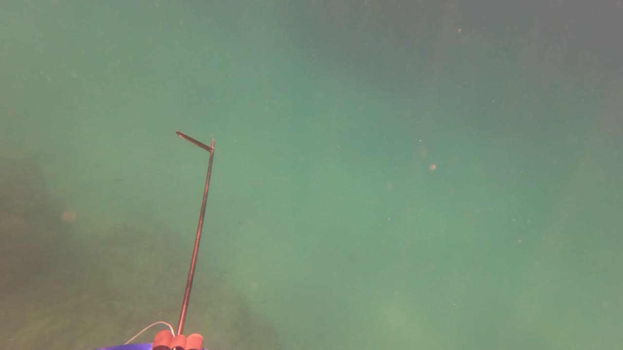 A narrow fishing rod tip begins to rise into the green underwater frame in San Jose Del Cabo, with soft seabed shapes behind it and no visible people.