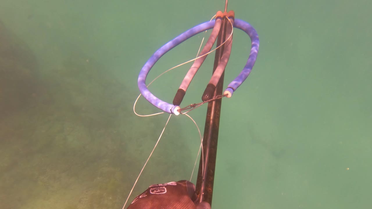 The blue float loop and dark fishing rod sit prominently underwater in San Jose Del Cabo, with pale line trailing through green water and no visible people.