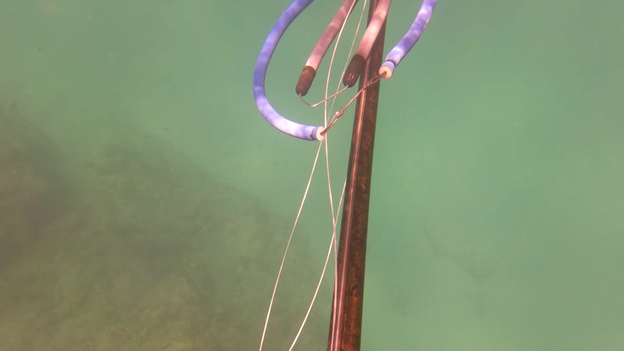 A close portion of the fishing rod and blue float fills the left side of the San Jose Del Cabo underwater frame, with loose lines crossing green water and no visible people.