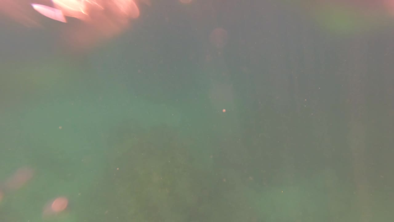 Greenish underwater view in San Jose Del Cabo with soft suspended bubbles, muted surface light, and no visible people.