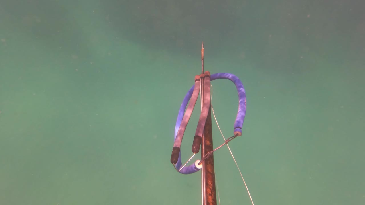 A speargun tip with a blue looped handle sits near the left side of clear green water in San Jose del Cabo, with no visible people.