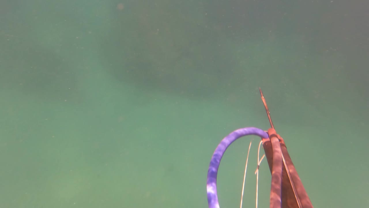 The blue-handled speargun appears at the right edge of the frame in San Jose del Cabo, with green water and faint underwater terrain behind it, and no visible people.
