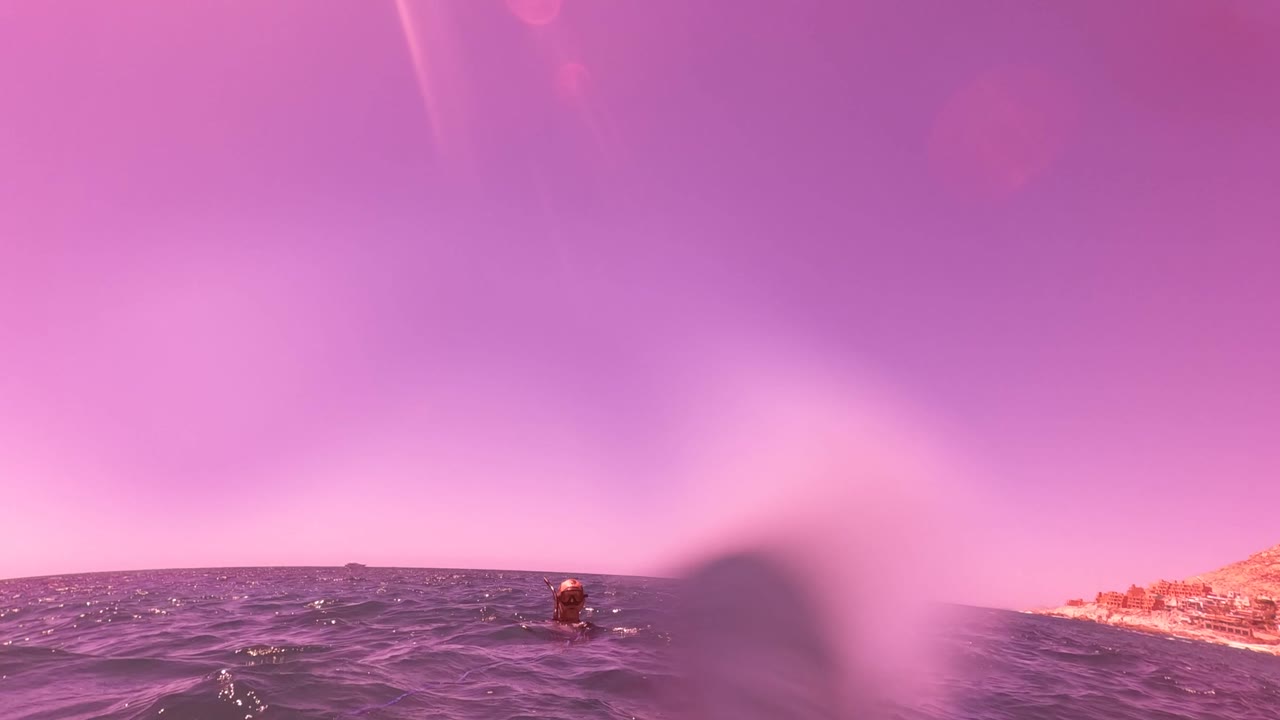 Swimmer in choppy purple ocean with coastline on the right.