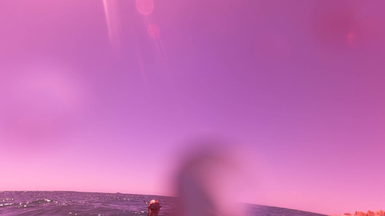 A swimmer's head is partly visible near the lower center of the San Jose Del Cabo ocean, with dark waves, a pink-purple sky, and soft water blur across the upper frame.