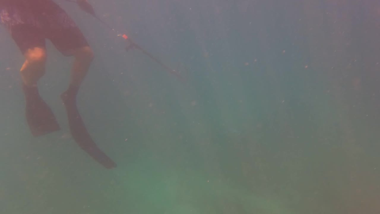 Partial diver with fins appears at the left edge underwater in San Jose Del Cabo, with murky green-blue water and a faint seabed below.