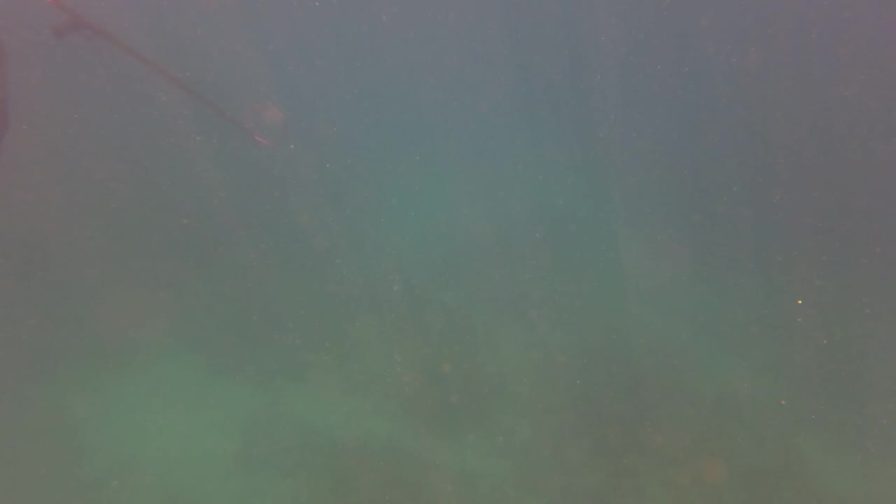 Murky green-blue water fills the San Jose Del Cabo underwater frame, with the diver mostly gone and faint rocky seabed texture visible below.