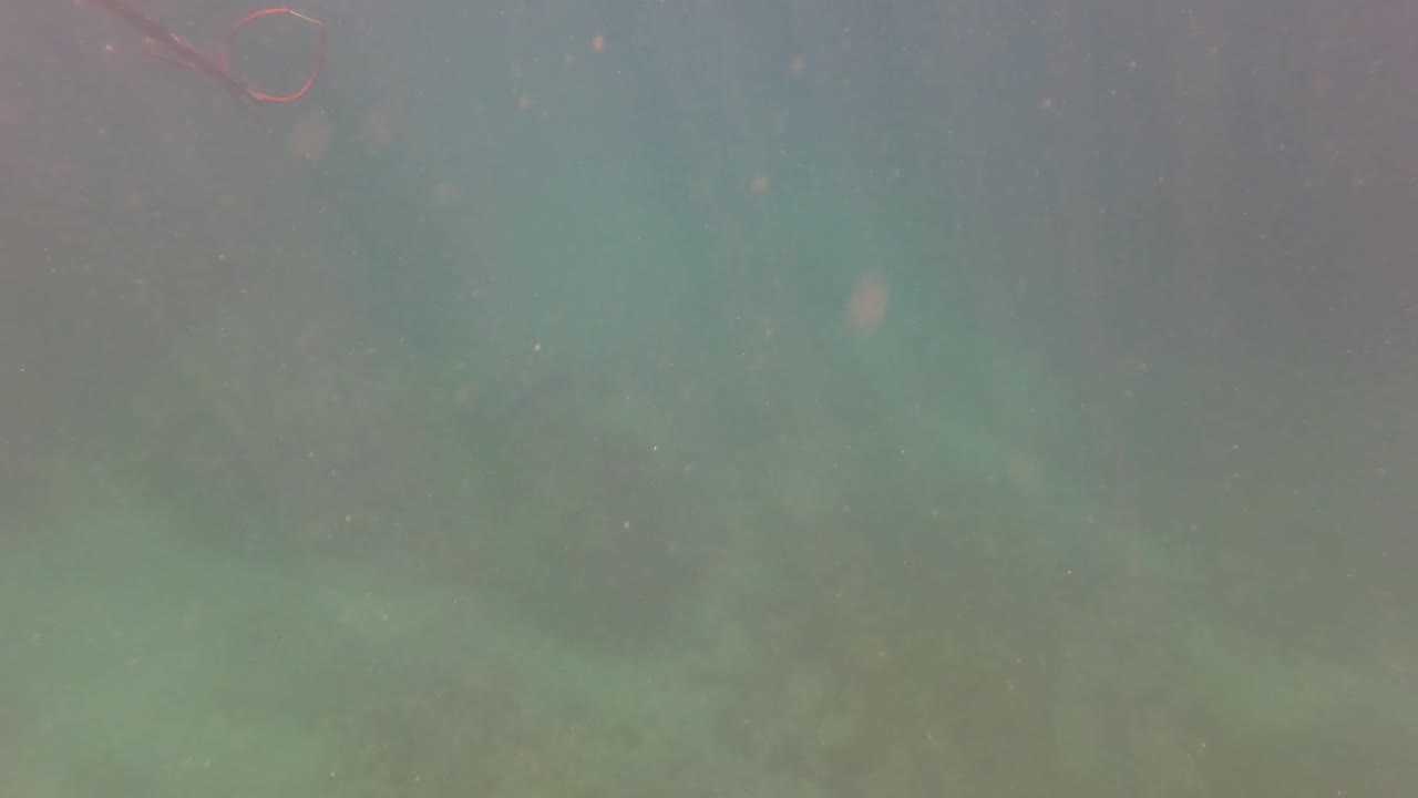 Open murky water in San Jose Del Cabo shows suspended particles and a dim seabed, with no visible people in this frame.