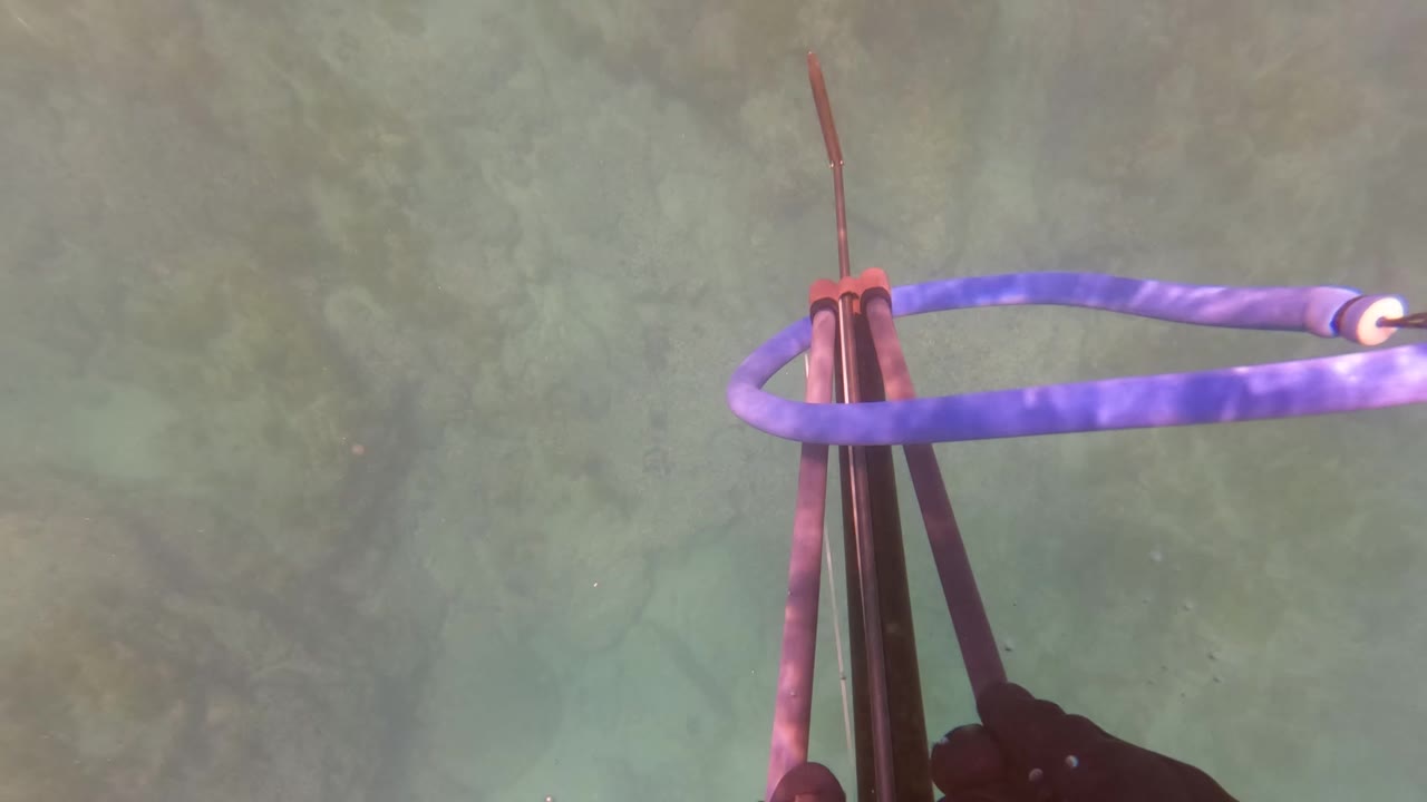 A purple speargun band loops across the upper frame while dark spear shafts and a line hang over the rocky seabed in San Jose del Cabo, with no visible people.