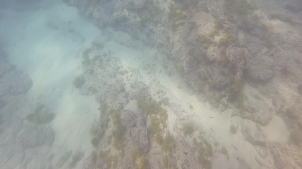 Underwater view in San Jose Del Cabo with milky turquoise water, pale sand channels, and rough rock and seaweed areas filling the frame.