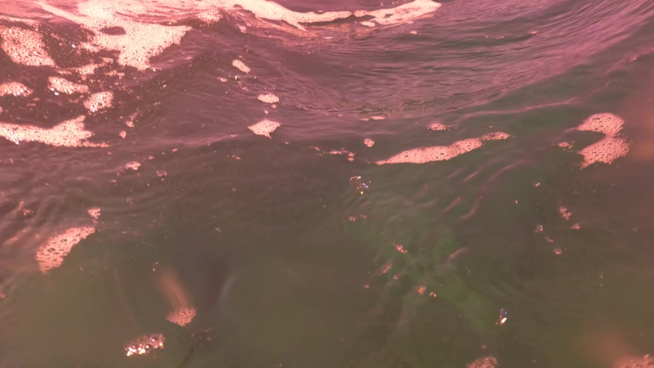 Underwater view looking up at the rippled surface.
