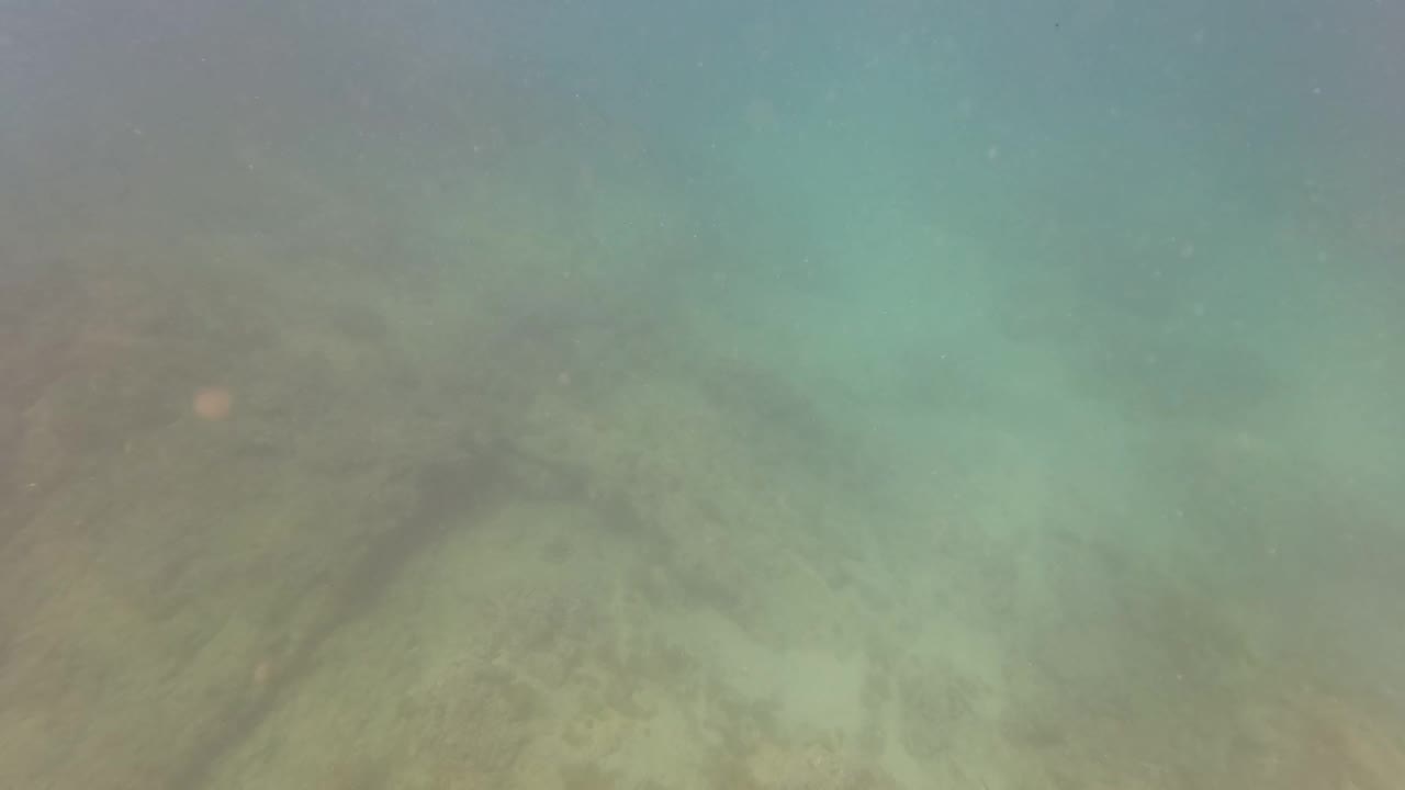 Murky underwater view in San Jose del Cabo, Mexico, with a rocky seabed faintly visible through green water and no visible people.