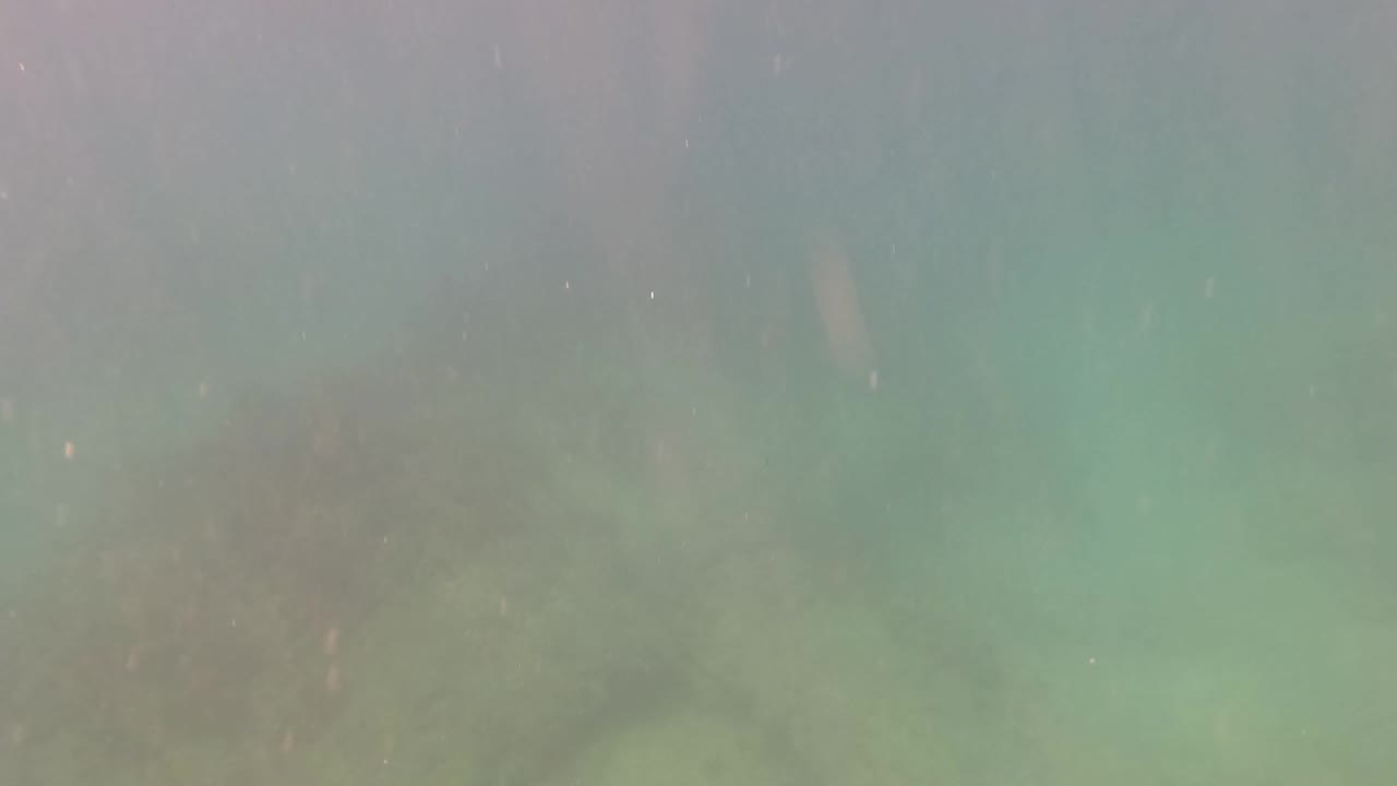 Hazy underwater frame from San Jose del Cabo, Mexico, showing faint rocky bottom detail beneath green water and no visible people.