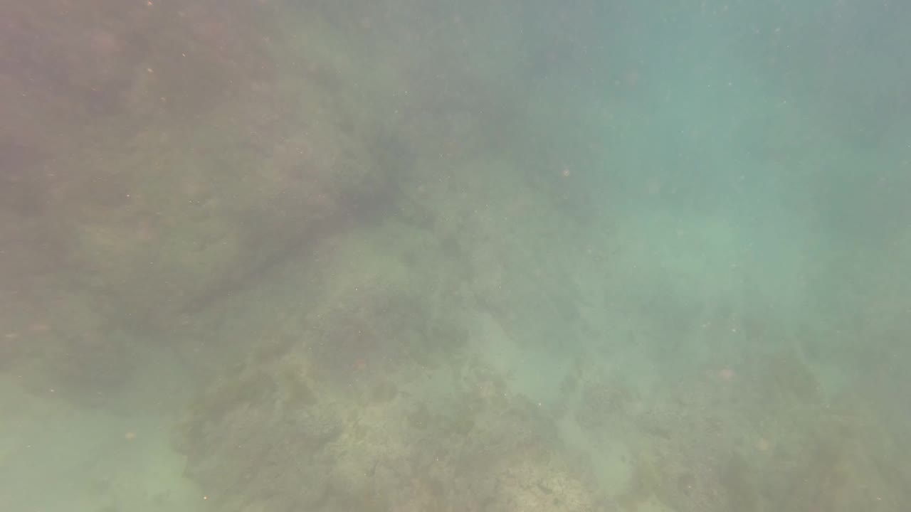Rocky sandy seabed seen through green-blue water in San Jose del Cabo, with no speargun visible yet and no visible people.