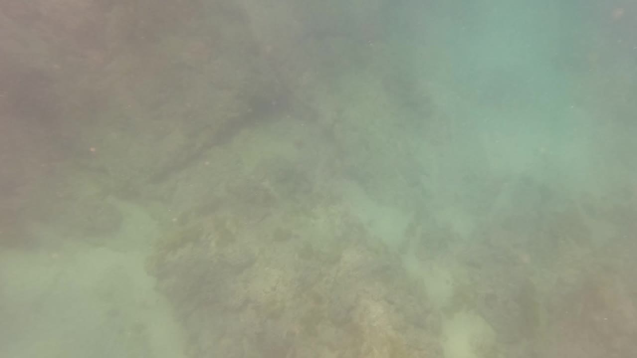 Underwater rocks and pale sand fill the frame in San Jose del Cabo, with cloudy turquoise water and no visible people.