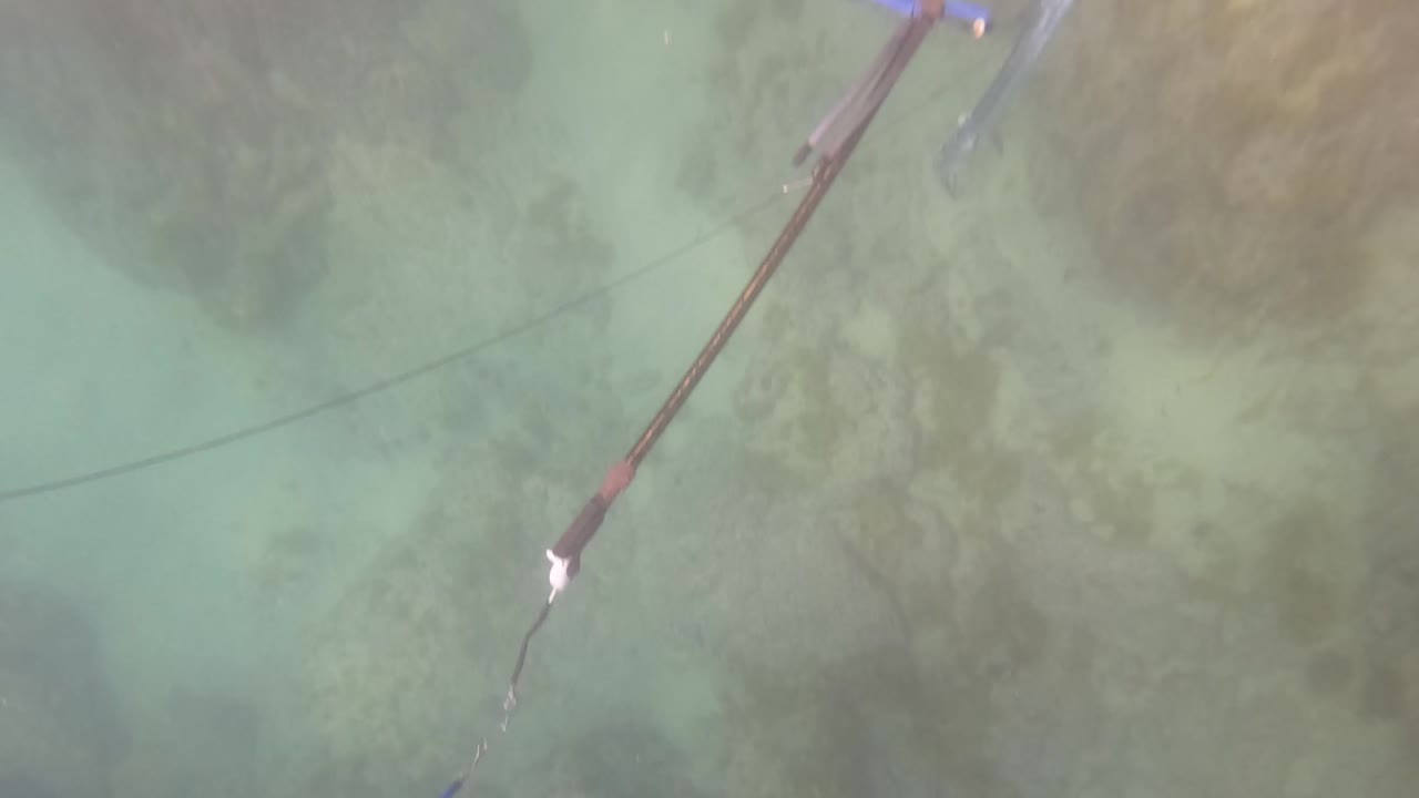 A speargun shaft and dark line cross the foreground above the rocky seabed in San Jose del Cabo, with no visible people.