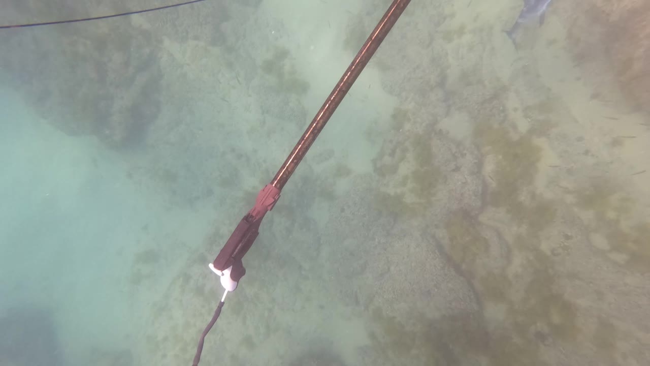 Speargun angled across green water and rocks