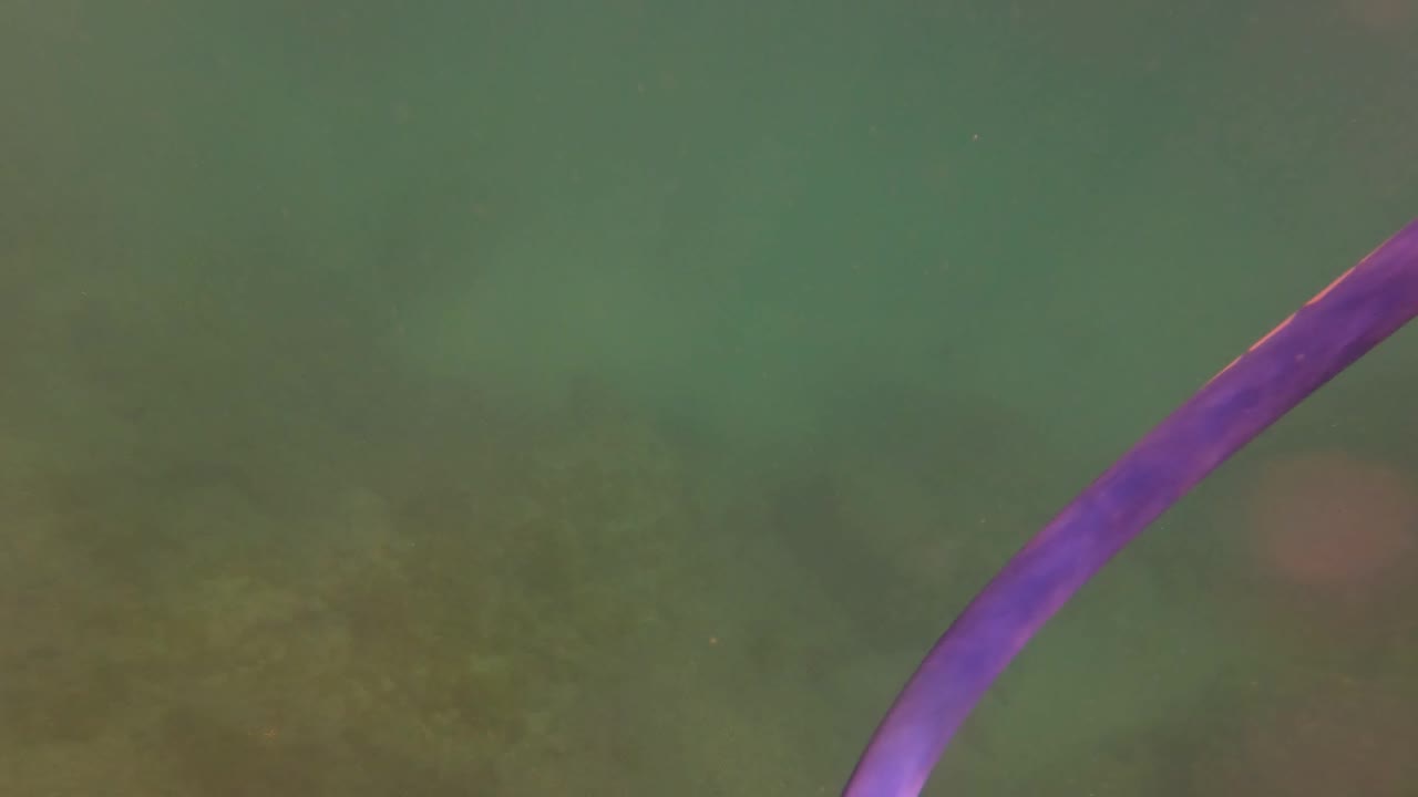 Underwater view in San Jose del Cabo showing part of a purple hula hoop crossing green-blue shallow water above a muted seabed, with no visible people.