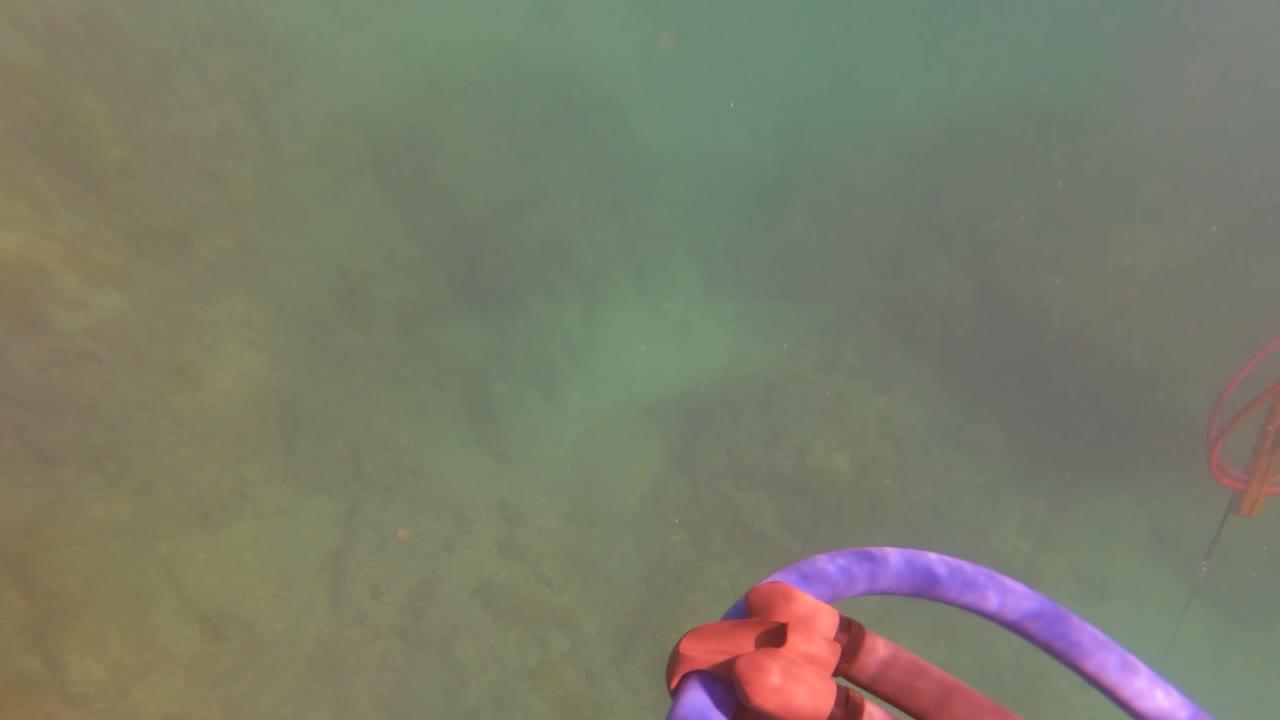 Underwater frame from San Jose del Cabo with a hand gripping the purple hoop near the lower right edge over a shallow seabed, with no face visible.