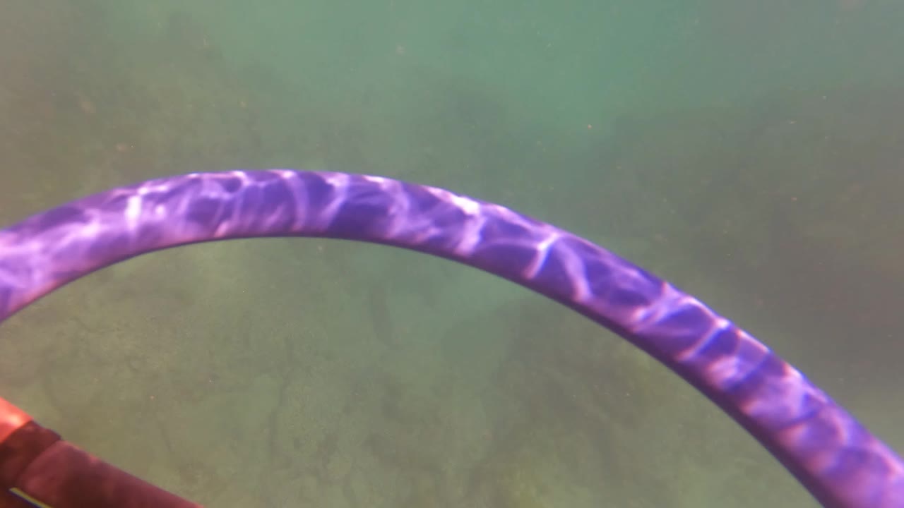 Close underwater view of purple hoop across shallow water