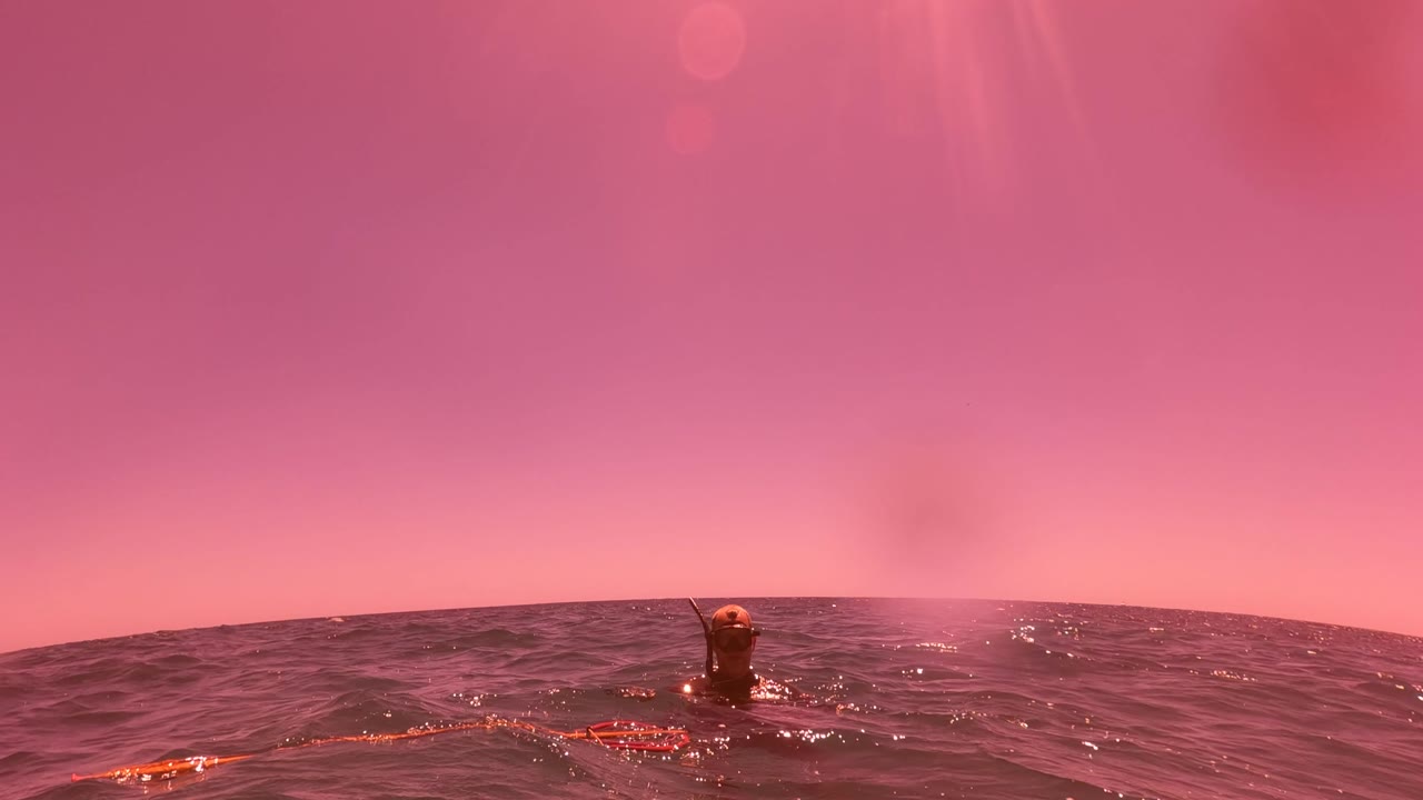 Small swimmer shape beyond rolling ocean waves under pink sky