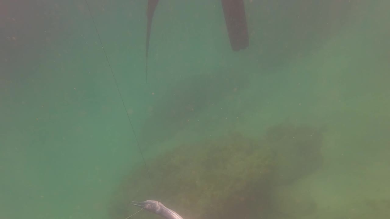 Underwater frame in San Jose Del Cabo shows snorkeler legs and fins near the surface, a small fish low in frame, and a muted seabed through green water.