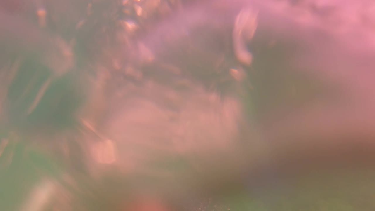 Blurry underwater view with pink and green water tones.