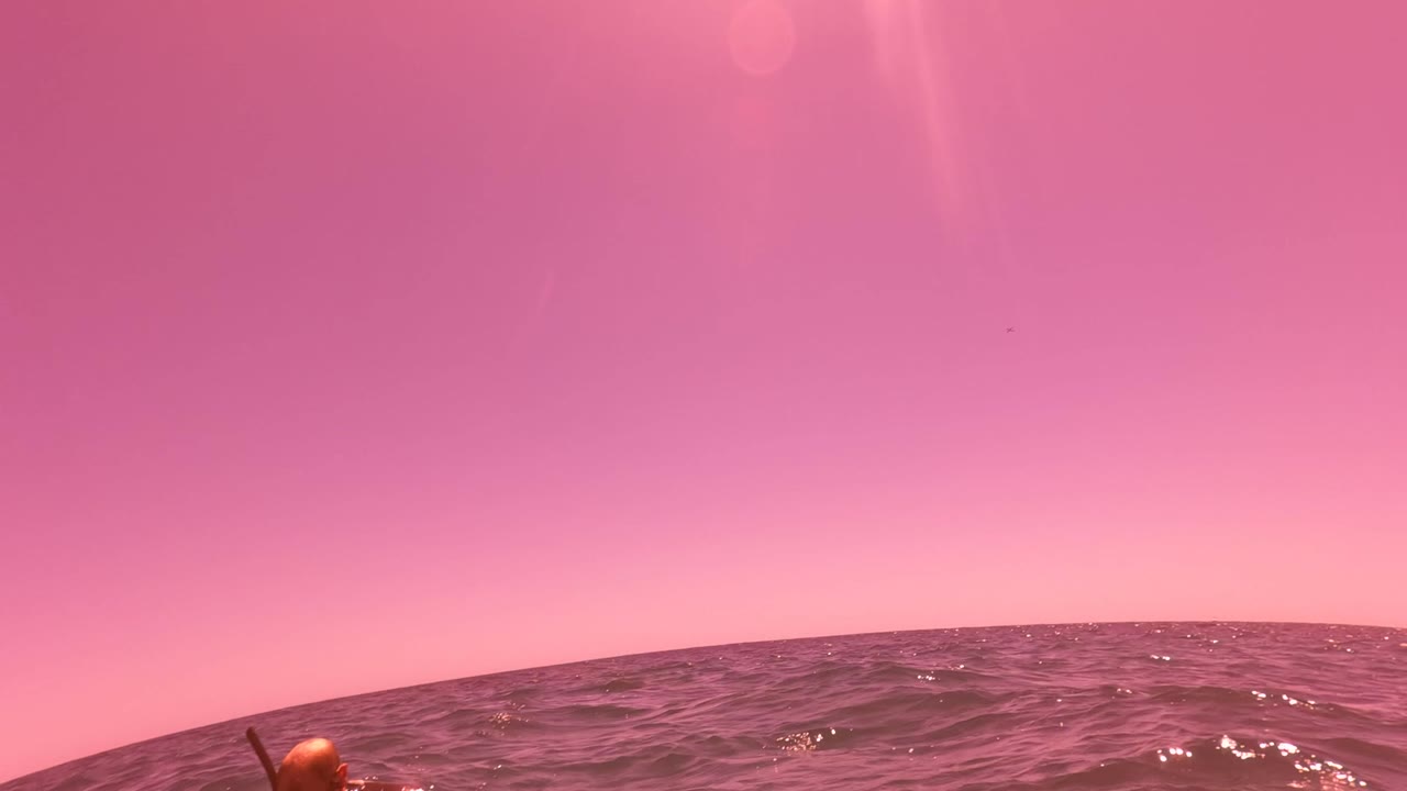 A snorkeler is partly visible at the left edge of choppy ocean water in San Jose Del Cabo, with a pink sky and low land on the horizon.