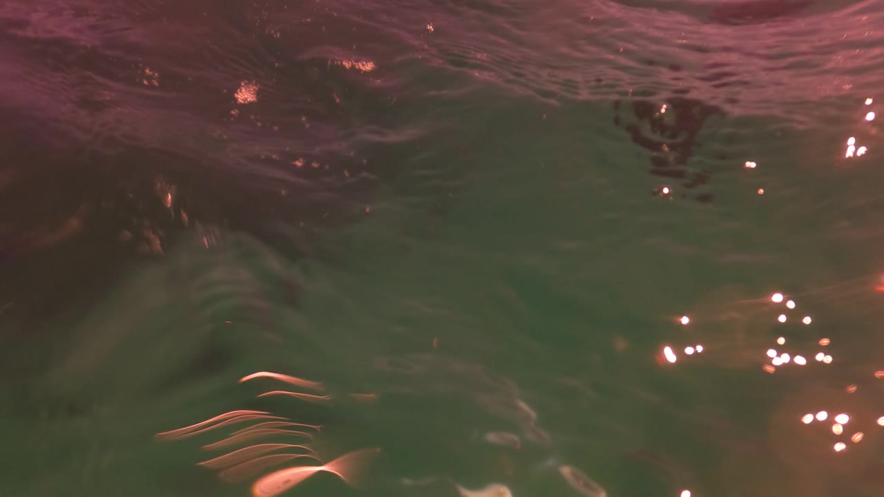 Underwater surface shimmer with green water and fish shapes near the lower edge.