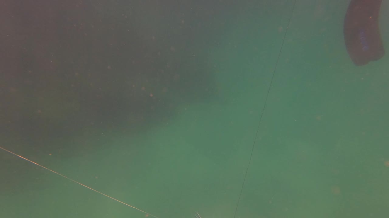 A small silver fish hangs on a fishing line in green water in San Jose del Cabo, Mexico, with dark gear shapes above and no visible people.