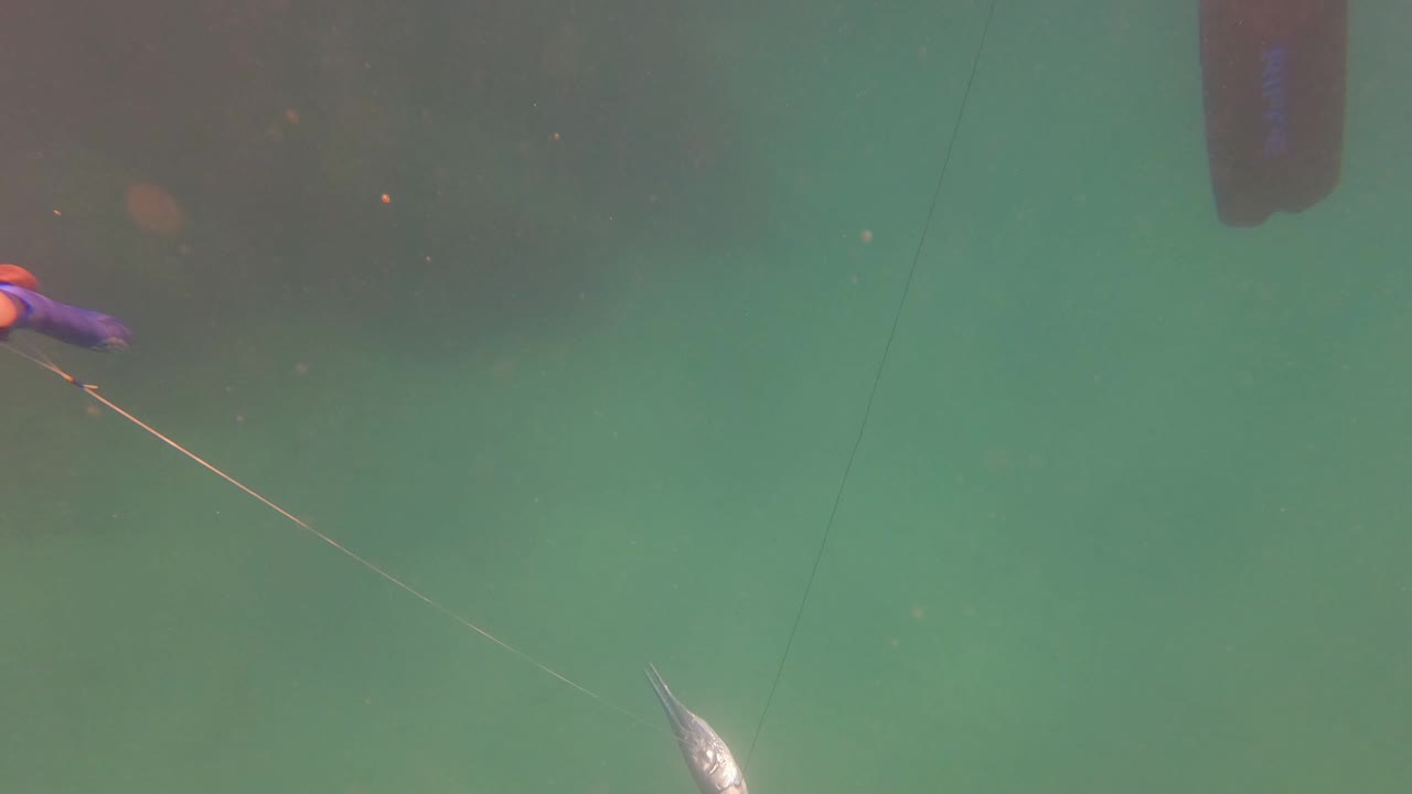 The fishing line angles through green water toward a small silver fish near the lower edge in San Jose del Cabo, Mexico, with no visible people.