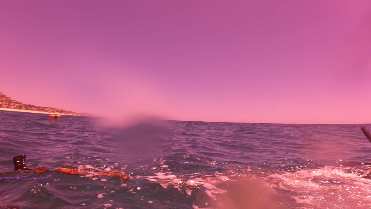 Snorkeler swimming at the ocean surface with distant shoreline