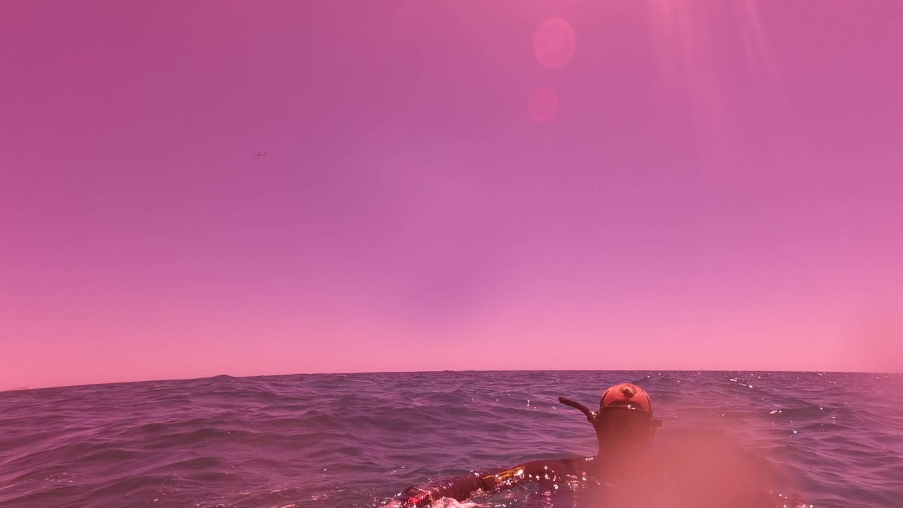 The swimmer appears along the right side of the water-level frame, with small waves, a flat horizon, and a strong purple-pink color cast.