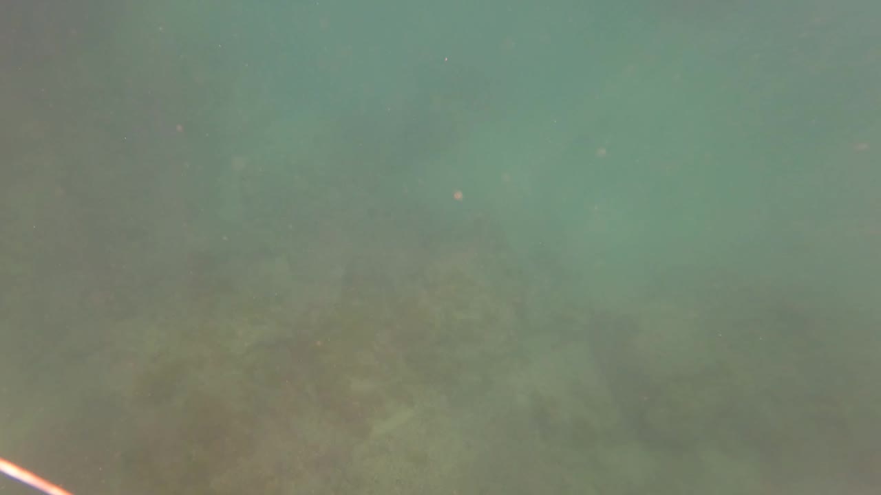 Submerged green water in San Jose del Cabo with soft seabed shapes barely visible through haze and no visible people.