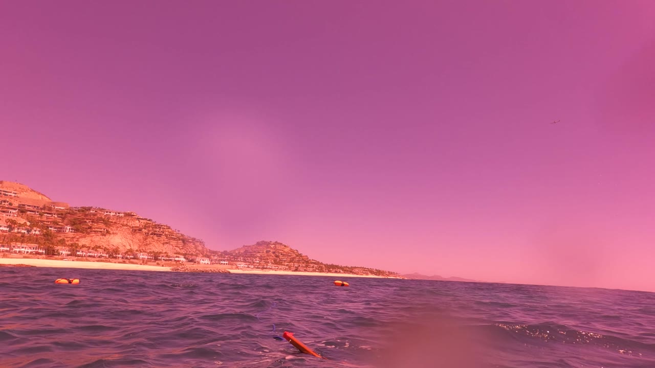 Water-level view in San Jose Del Cabo with a purple-pink sky, dark ocean waves, a distant rocky coastline, small buildings, and no visible people.