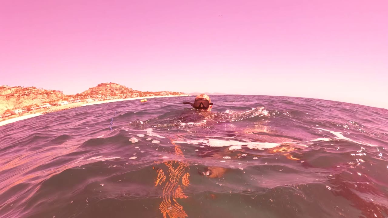 A snorkeler floats at the ocean surface in San Jose del Cabo, with rippled dark water in the foreground and a hilly coastline under pink-toned sky in the background.