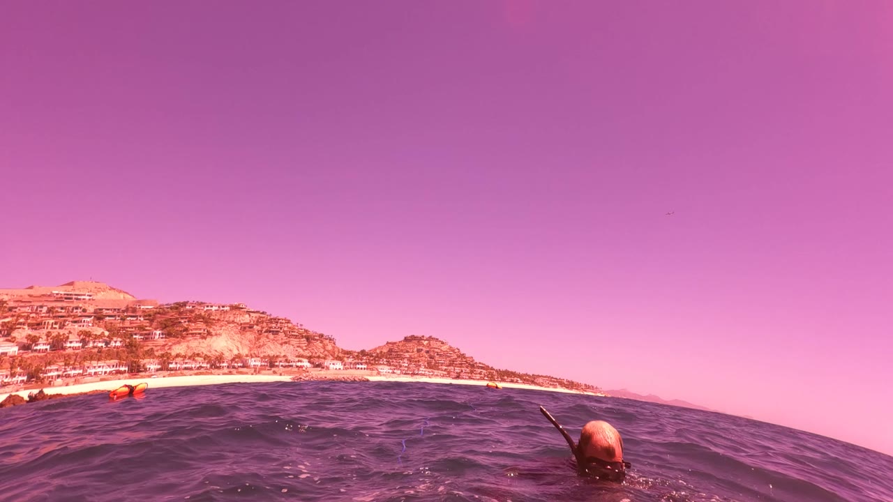 Waterline view with snorkeler partly turned away and coast in background.