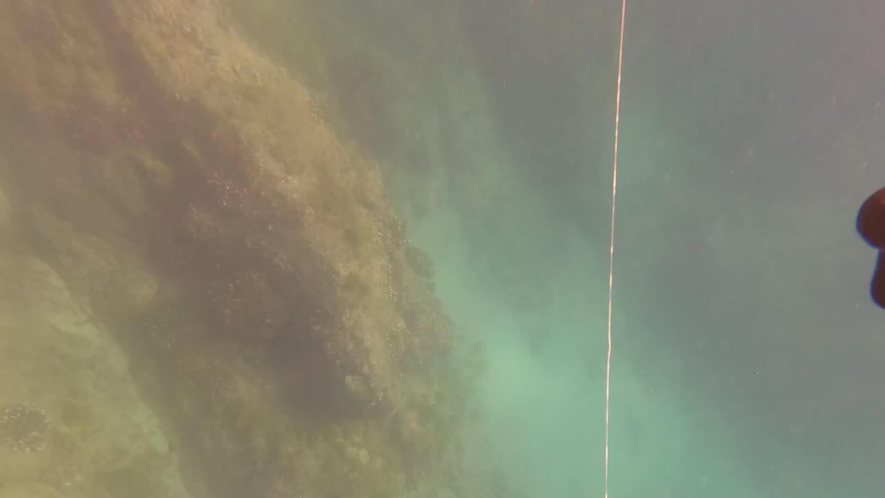 Rocky algae-covered seabed under green-blue water in San Jose Del Cabo, Baja California Sur, with a pale rope running near the center and no visible people.