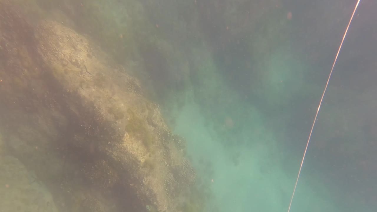 A pale rope angles through green water above algae-covered rocks in San Jose Del Cabo, with a dark edge of a diver glove just entering from the left and no face visible.