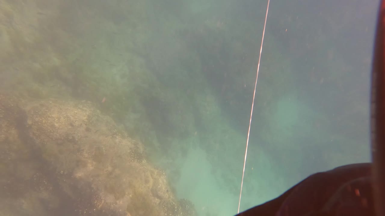 Green underwater visibility reveals a rocky seabed and rope in San Jose Del Cabo, with a dark edge of diver gear at the right side and no visible face.