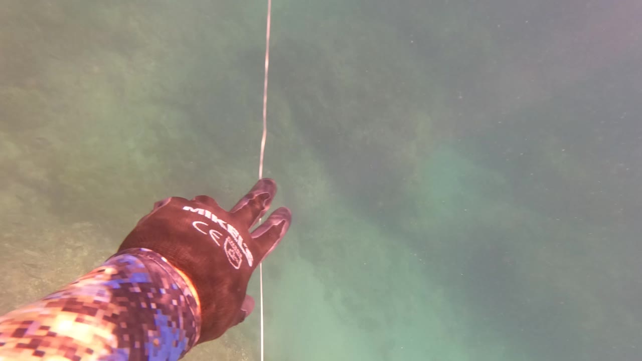 Gloved diver hand reaches toward a vertical rope underwater