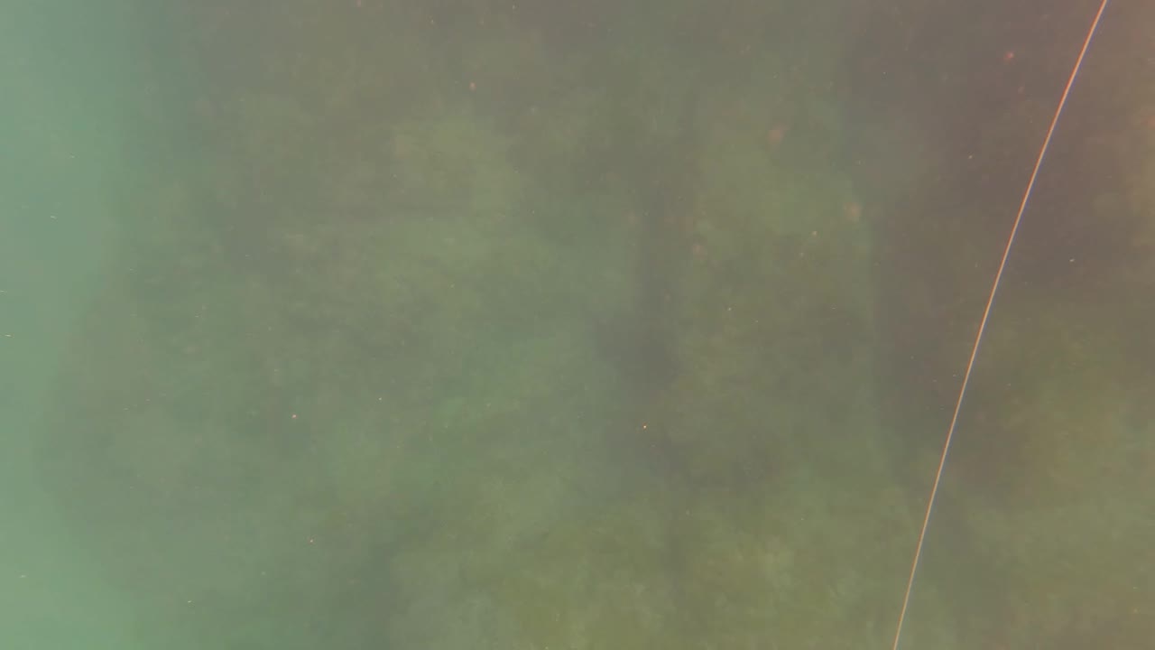Underwater view in San Jose Del Cabo, Mexico, showing hazy green water over submerged rocks with a thin rope line crossing near the right side and no visible people.